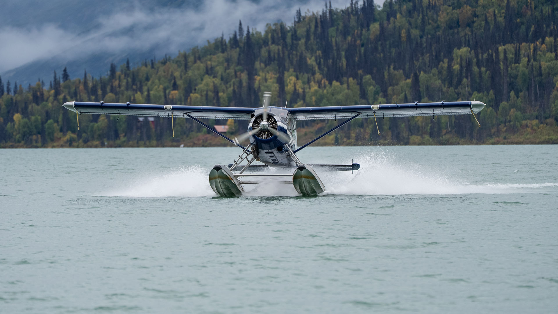 Dehavilland Beaver Landing