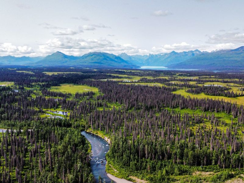 Amazing Views Flightseeing Alaska