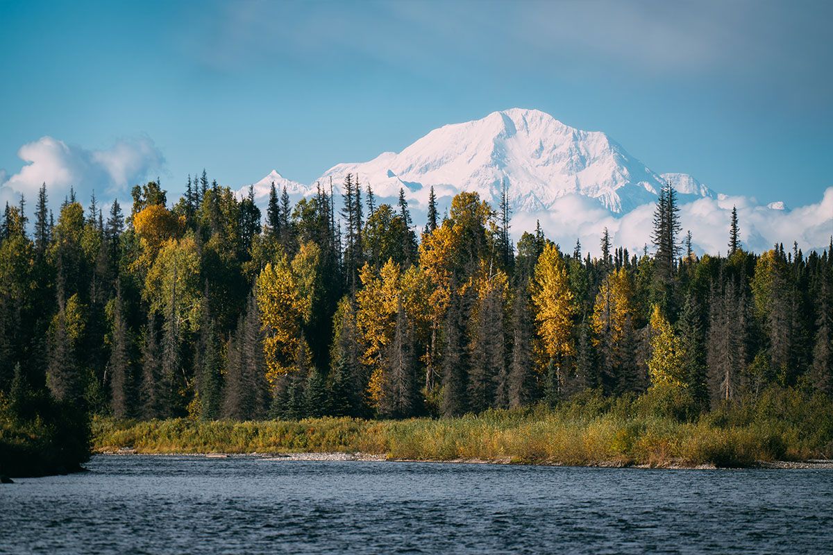 Mount Foraker in autumn