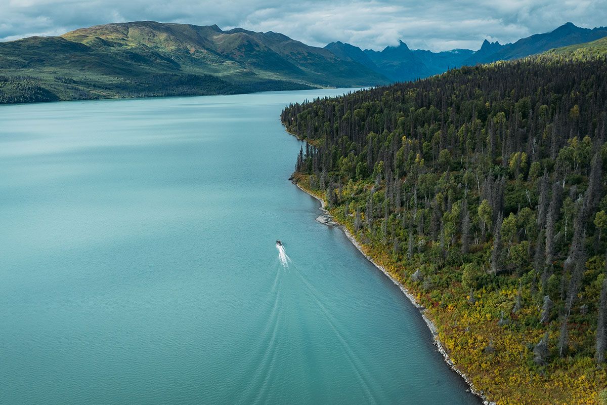 Nature Tours at Chelatna Lake Lodge