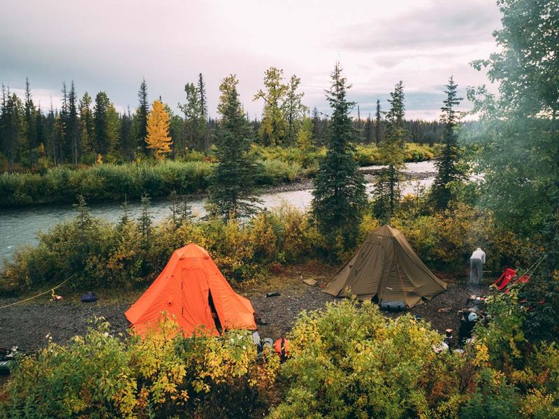 Camping near Denali 