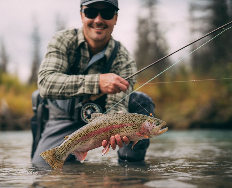 Fly Fishing for Rainbow Trout in Denali 