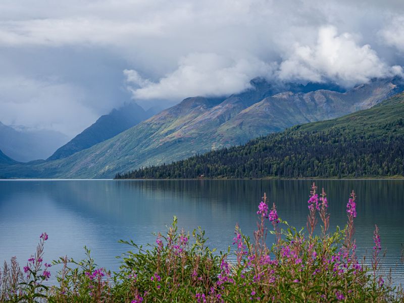 Lakefront View in Alaska 