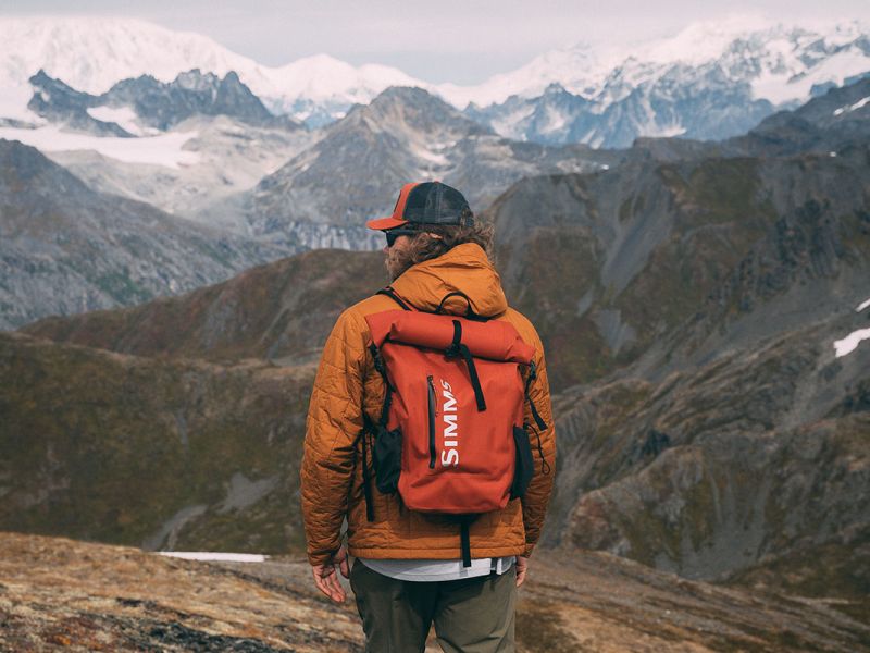 Overlooking Glaciers in Denali National Park 