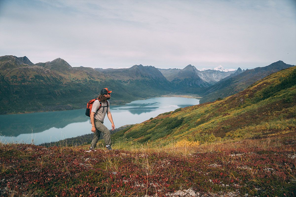 Mountain Summit hike in Denali 